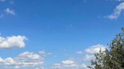 İzmir Büyükşehir Belediyesi bünyesinde kurulan Çiğli Dil Destek Merkezi üyesi