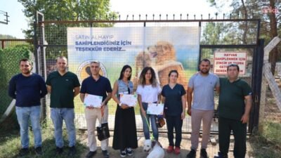 Efes Selçuk Belediyesi hayvan barınağından köpek sahiplenen vatandaşlar, 4 Ekim