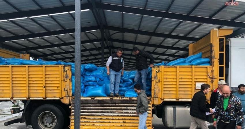 Silivri Belediyesi, belediyeye ait tarım arazilerinde yetiştirilen tritikale yemlerini Silivri’de