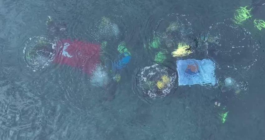 Sinop’ta Cumhuriyet coşkusunu Karadeniz’e taşındı Sinop Üniversitesi Meslek Yüksekokulu Su Altı Teknolojileri Bölümü ve Su
