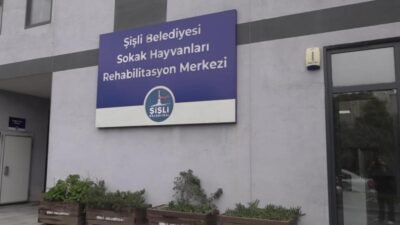 Şişli Belediyesi, sahipsiz hayvanların sağlıklı ve güvenli bir yaşam sürebilmesi