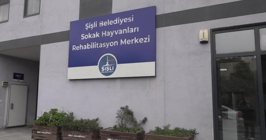 Şişli Belediyesi, sahipsiz hayvanların sağlıklı ve güvenli bir yaşam sürebilmesi