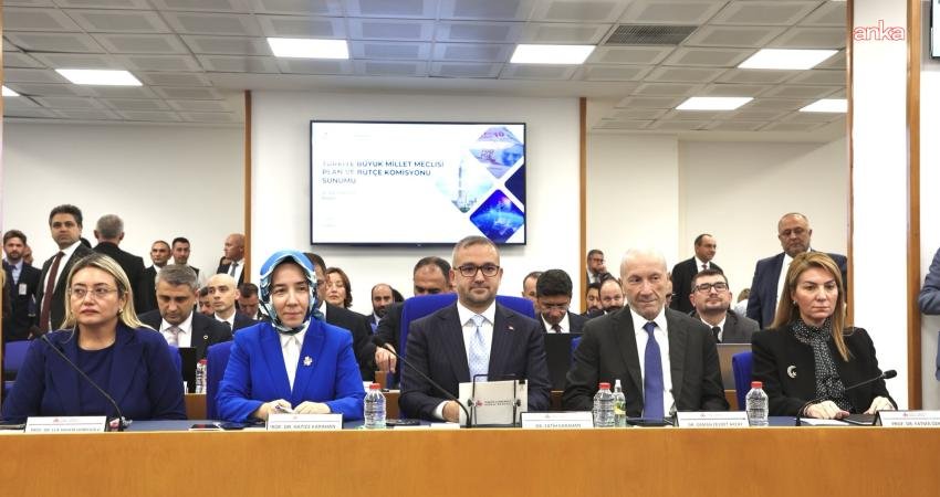 Türkiye Cumhuriyet Merkez Bankası (TCMB) Başkanı Fatih Karahan, 'yastık altı