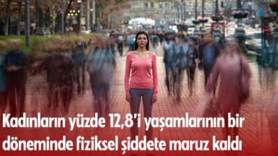 Türkiye İstatistik Kurumu'nun (TÜİK) araştırmasına göre, yaşamının herhangi bir döneminde fiziksel