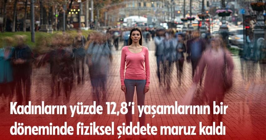 Türkiye İstatistik Kurumu'nun (TÜİK) araştırmasına göre, yaşamının herhangi bir döneminde fiziksel