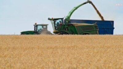 Türkiye İstatistik Kurumu'nun (TÜİK) verilerine göre, tahıl ürünleri üretim miktarlarının