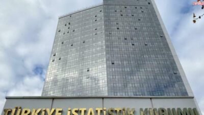 Türkiye İstatistik Kurumu'nun (TÜİK) verilerine göre, Gayrisafi Milli Hasıla (GSMH) 2024