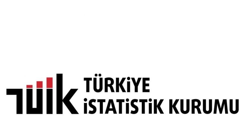 Türkiye İstatistik Kurumu'nun (TÜİK) verilerine göre, hizmet üretim endeksi yıllık