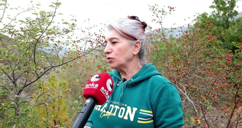 Tunceli'de ekim ayı ile birlikte kışın habercisi olarak bilinen kuşburnu