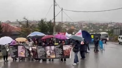 Hayvan hakları savunucuları, Ümraniye Hekimbaşı Barınağı’nda 11 Ekim 2024’te yaşanan