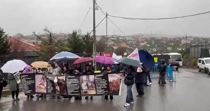 Hayvan hakları savunucuları, Ümraniye Hekimbaşı Barınağı’nda 11 Ekim 2024’te yaşanan