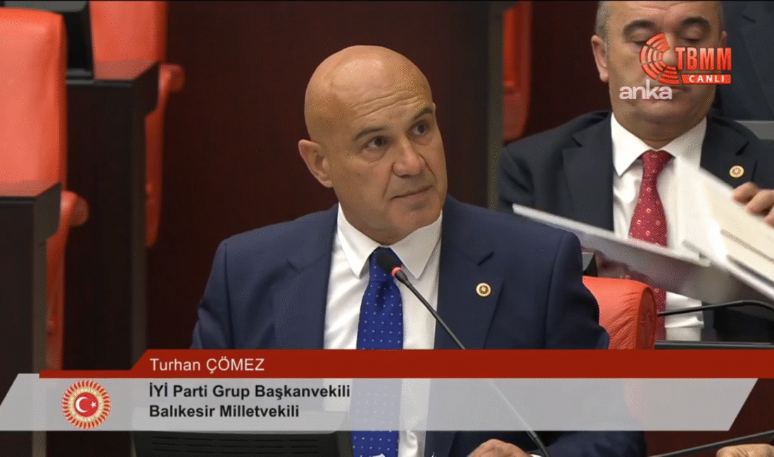 İYİ Parti Grup Başkanvekili Turhan Çömez ile TBMM Başkanvekili Pervin