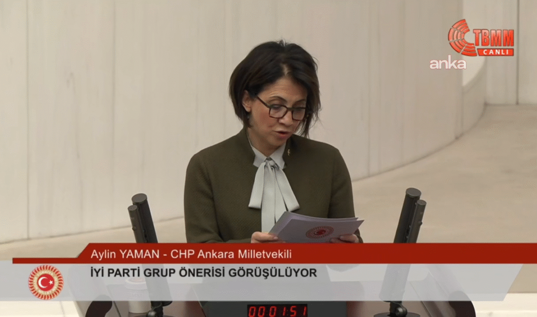 TBMM Genel Kurulu'nda konuşan CHP Ankara Milletvekili Aylin Yaman, "Türkiye