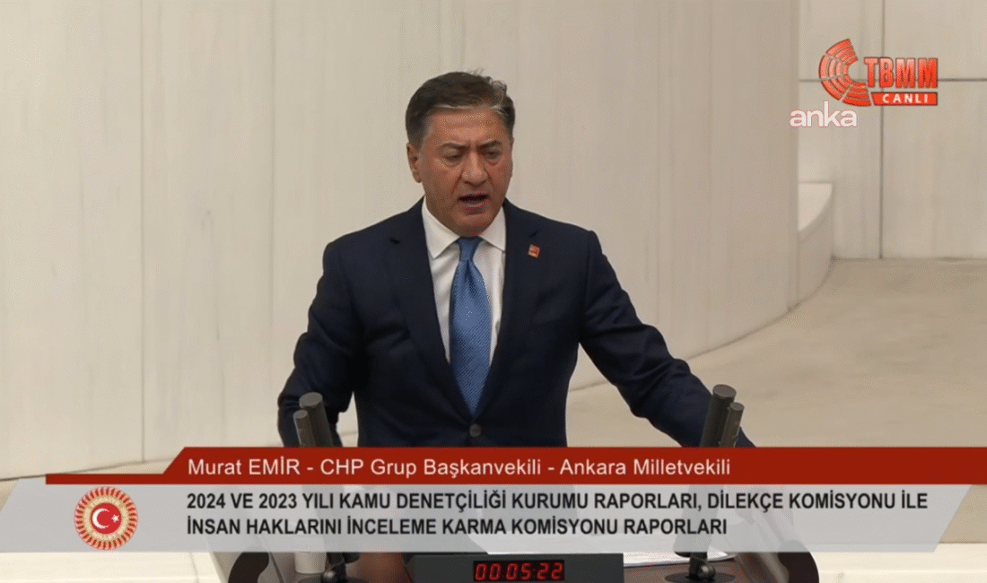 CHP Grup Başkanvekili Murat Emir, TBMM Genel Kurulu'nda, "Selahattin Demirtaş,