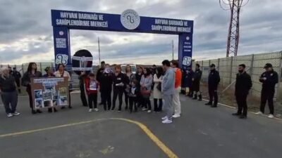 4 Ekim Hayvanları Koruma Günü nedeniyle Arnavutköy'deki Hayvan Barınağı ve