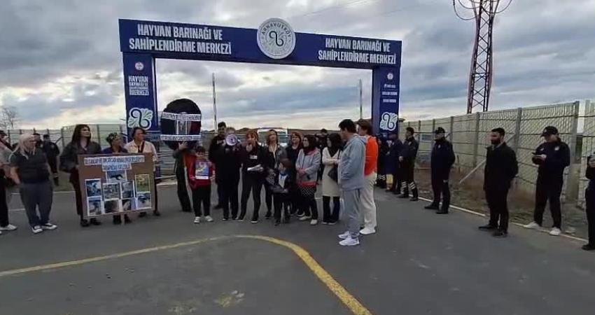 4 Ekim Hayvanları Koruma Günü nedeniyle Arnavutköy'deki Hayvan Barınağı ve
