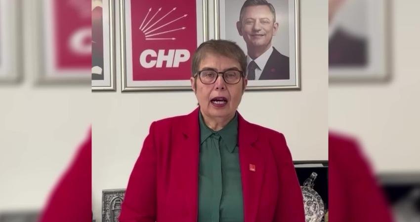 CHP Genel Başkan Yardımcısı Zeliha Aksaz Şahbaz, Vergi Kanunları ile