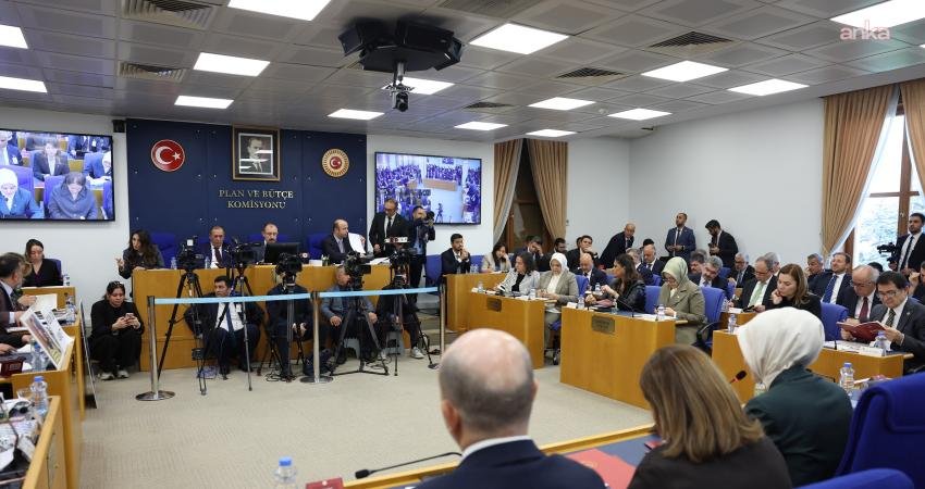 DEM Parti Diyarbakır Milletvekili Halide Türkoğlu, Aile ve Sosyal Hizmetleri