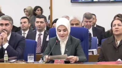 Aile ve Sosyal Hizmetler Bakanlığı'nın 2026 yılı bütçe ve kesin