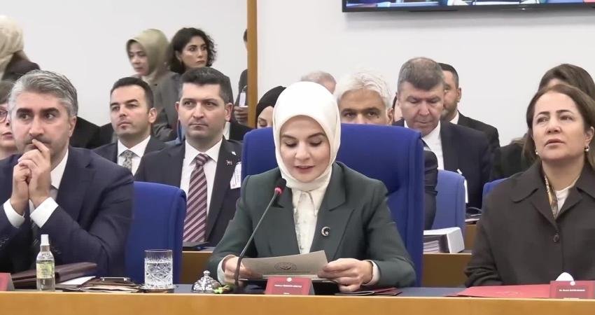 Aile ve Sosyal Hizmetler Bakanlığı'nın 2026 yılı bütçe ve kesin