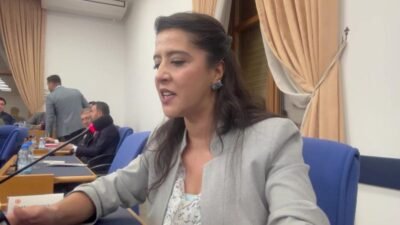 EMEP Gaziantep Milletvekili Sevda Karaca, TBMM Plan ve Bütçe Komisyonu'ndaki Sağlık