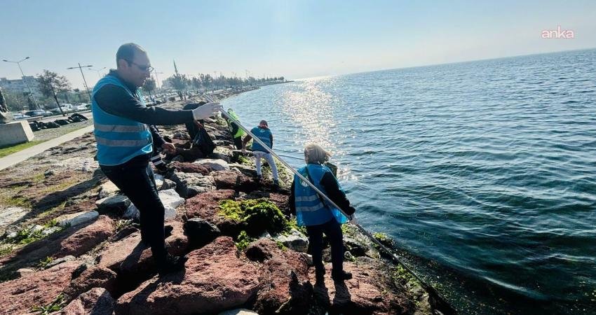 DenizTemiz Derneği, Koç Şirketler Grubu gönüllüleri ve İzmir Doğa Severler