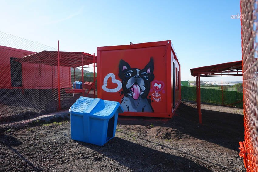 Türkiye’de ilk defa özel gereksinimli can dostlara sıcak yuva Balıkesir’de Balıkesir Büyükşehir Belediyesi, Karesi ilçesindeki Yeniköy Mahallesi’nde hayata geçirdiği Can