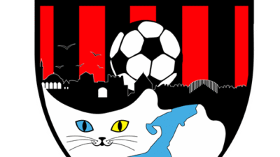 Vanspor Futbol Kulübü'nce yapılan açıklamada, Türkiye Futbol Federasyonu (TFF) tarafından