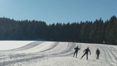 Alman Meteoroloji Servisi (DWD), ülke genelinde buzlanma, kar ve şiddetli