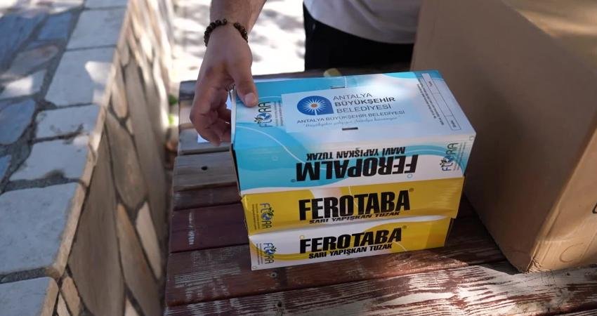 Antalya Büyükşehir Belediyesi’nden organik tarıma destek Antalya Büyükşehir Belediyesi, örtü altı üretimde bitki zararlılarıyla mücadele etmek