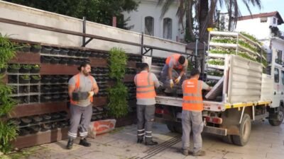 Antalya Büyükşehir Belediyesi, kış aylarında da kenti renklendirmek için mevsimlik