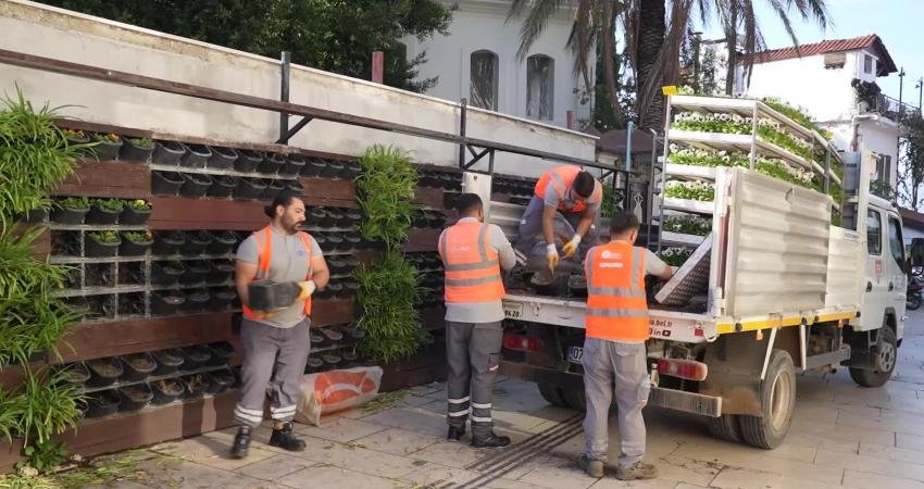 Antalya Büyükşehir Belediyesi, kış aylarında da kenti renklendirmek için mevsimlik