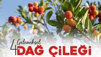 Ataşehir Belediyesi tarafından geleneksel hale getirilen Dağ Çileği Festivali, bu