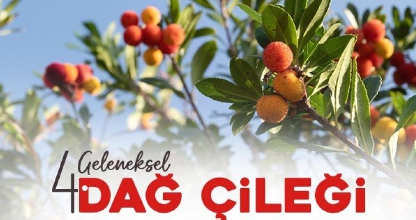 Ataşehir Belediyesi tarafından geleneksel hale getirilen Dağ Çileği Festivali, bu