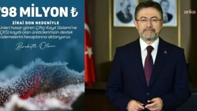 Tarım ve Orman Bakanı İbrahim Yumaklı, "Zirai don nedeniyle ürünleri