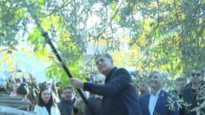 İzmir Büyükşehir Belediye Başkanı Cemil Tugay, Beydağ ilçesinde kestane üreticileriyle