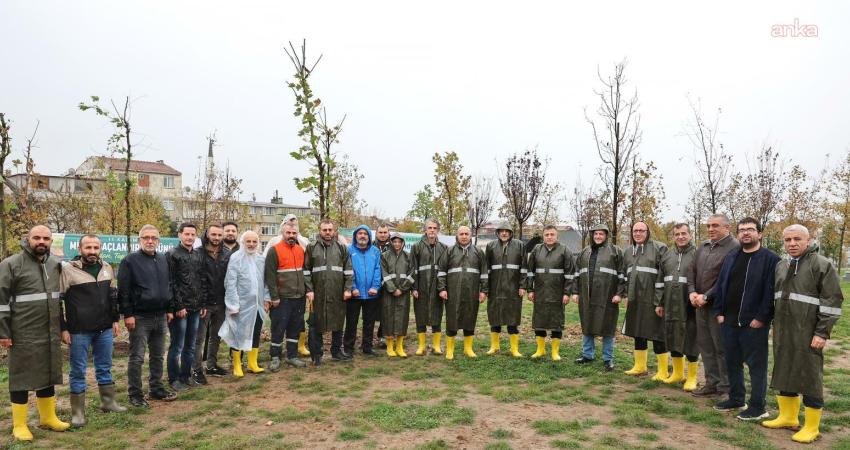 Bayrampaşa’da fidanlar toprakla buluşturuldu Bayrampaşa Belediyesi tarafından 11 Kasım Milli Ağaçlandırma Günü dolayısıyla Bayrampaşa Millet