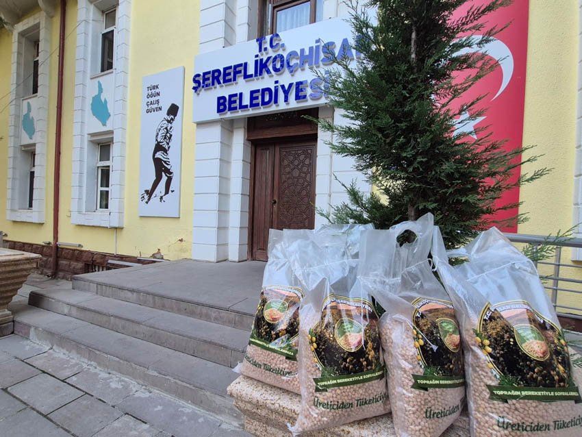 Ankara’nın Şereflikoçhisar ilçesinde, Belediye Başkanlığı’na ait tarım arazilerinde üretilen nohutlar