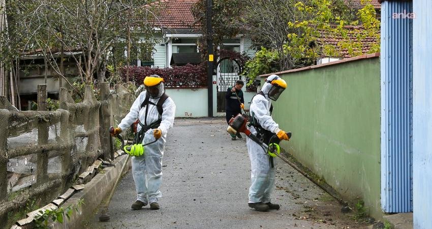 Beykoz Belediyesi, "Şok Hizmet” programı kapsamında Akbaba Mahallesi'nde bakım, onarım