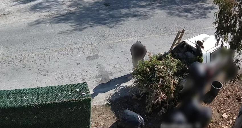 Bodrum Belediyesi’nden çevreyi kirletenlere ceza Bodrum Belediyesi, çevre kirliliğine neden olan kişi ve firmaları tespit