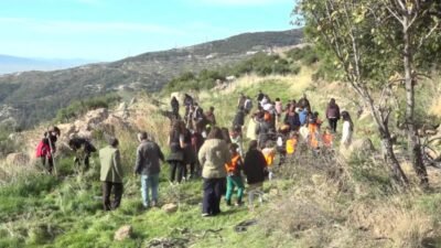 Bornova Belediyesi, 26 Kasım Dünya Zeytin Ağacı Günü kapsamında öğrencilerin
