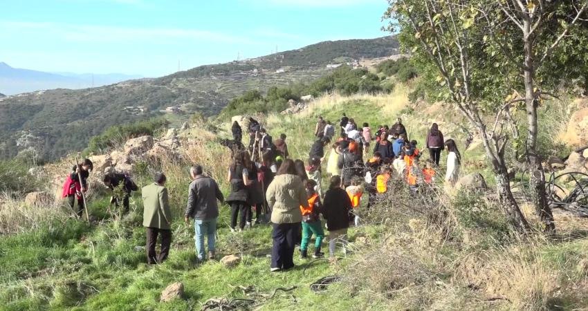 Bornova Belediyesi, 26 Kasım Dünya Zeytin Ağacı Günü kapsamında öğrencilerin