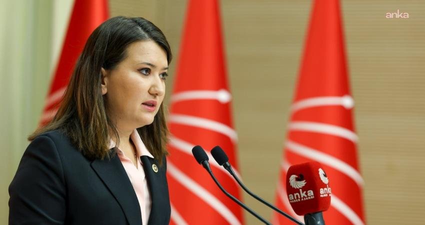 CHP Genel Başkan Yardımcısı Gökçe Gökçen, "İddianamede Cumhuriyet Halk Partisi'nin kapatılması