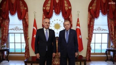 Cumhurbaşkanı Recep Tayyip Erdoğan, Türkiye Büyük Millet Meclisi Başkanı Numan