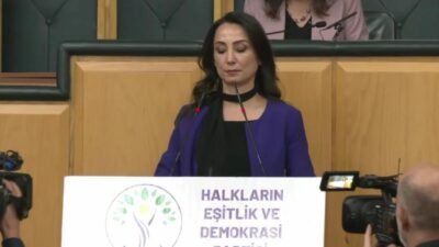 DEM Parti Eş Genel Başkanı Tülay Hatimoğulları, Milli Dayanışma, Kardeşlik