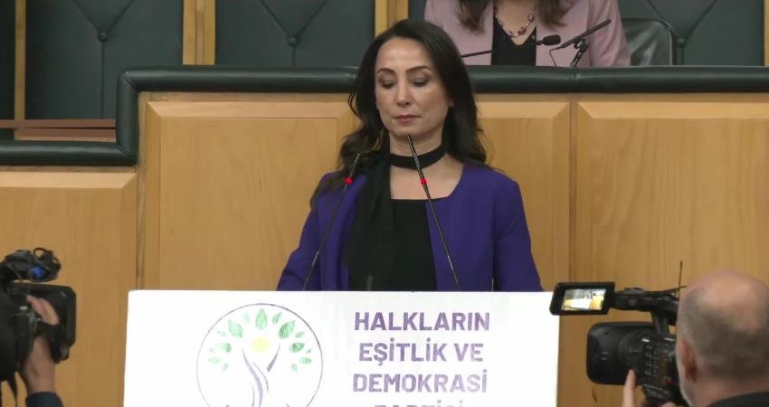 DEM Parti Eş Genel Başkanı Tülay Hatimoğulları, Milli Dayanışma, Kardeşlik