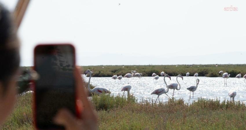 İzmir Büyükşehir Belediyesi’nin deniz ulaşım şirketi İZDENİZ, Bergama Vapuru ile