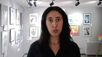 31 Ağustos’ta Tunus’tan İstanbul aktarmalı Ankara’ya dört kedisiyle seyahat eden