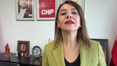 CHP Genel Başkan Yardımcısı  Gamze Taşcıer, "1 Aralık itibarıyla en