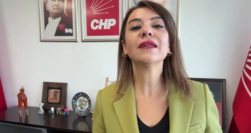 CHP Genel Başkan Yardımcısı  Gamze Taşcıer, "1 Aralık itibarıyla en